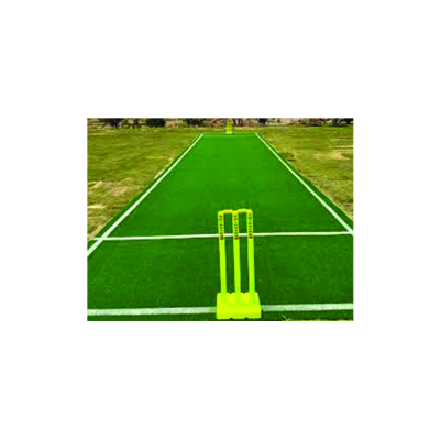 ARTIFICIAL TURF FOR CRICKET HIGH DENSITY IMPORTED