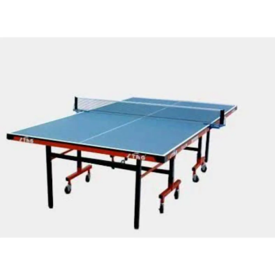 STAG T T TABLE CHAMPIONSHIP