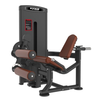 SS-15 IMPORTED SEATED LEG CURL / LEG EXTENSION  