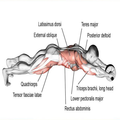 AB WHEEL EXERCISER